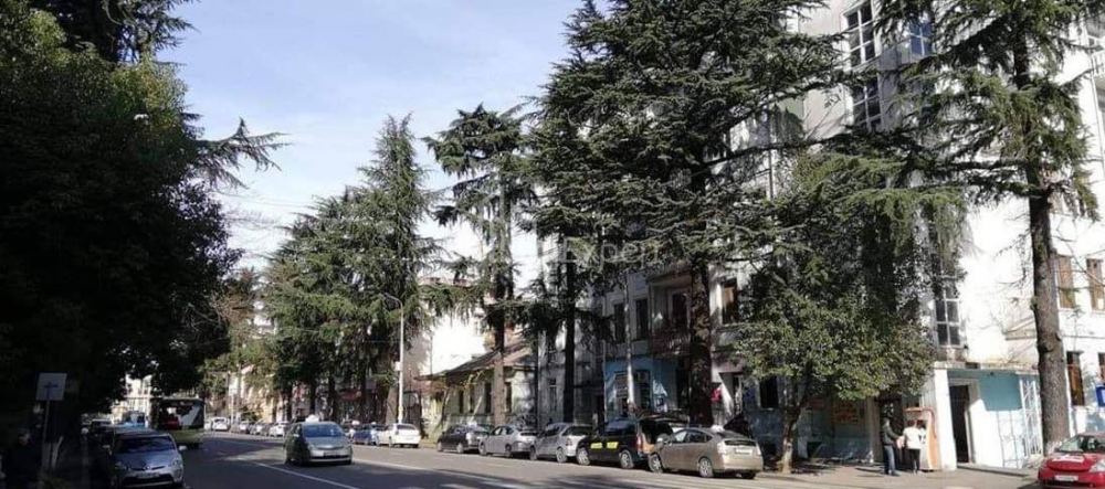 ბინა 61 კვ/მ - ნიკოლოზ ბარათაშვილი, Batumi, საქართველო