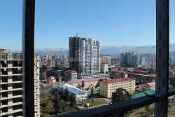 ბინა 30.7 კვ/მ - გმირთა ხეივანი, Batumi, საქართველო