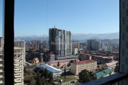 ბინა 30.3 კვ/მ - გმირთა ხეივანი, Batumi, საქართველო