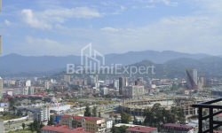 ბინა 31 კვ/მ - ნიკო ფიროსმანი, Batumi, საქართველო