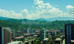 ბინა 62 კვ/მ - ვახტანგ გორგასალი, Batumi, საქართველო