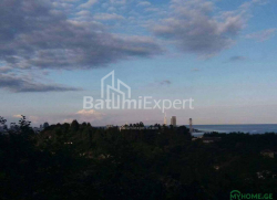 მიწის ნაკვეთი 300 კვ/მ - იურიევსკაია, Batumi, საქართველო