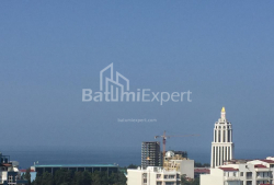 ბინა 42 კვ/მ - ილია ჭავჭავაძე, Batumi, საქართველო
