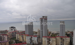 ბინა 2-ოთახი 43 კვ.მ - ნიკო ფიროსმანი, Batumi