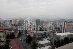 ბინა 30 კვ/მ - ტბელ-აბუსერიძე, Batumi, საქართველო
