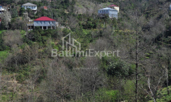 ბინა 2-ოთახი 170 კვ.მ - იურიევსკაია, Batumi