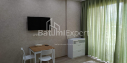 ბინა 33 კვ/მ - შალვა ინასარიძე, Batumi, საქართველო