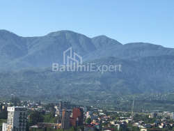 ბინა 28.8 კვ/მ - იუსუფ კობალაძე, Batumi, საქართველო