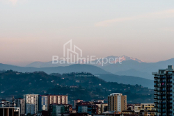 ბინა 33.1 კვ/მ - შალვა ინასარიძე, Batumi, საქართველო