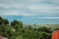 კერძო სახლი 280 კვ/მ - აეროპორტის გზატკეცილი, Batumi, საქართველო
