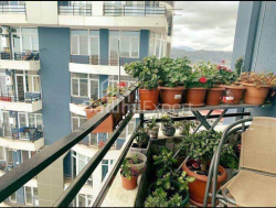 ბინა 81.4 კვ/მ - ტბელ-აბუსერიძე, Batumi, საქართველო