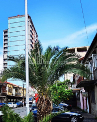 ბინა 80 კვ/მ - ილია ჭავჭავაძე, Batumi, საქართველო