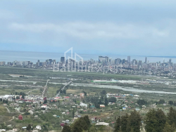 კერძო სახლი 160 კვ/მ - აეროპორტის გზატკეცილი, Batumi, საქართველო