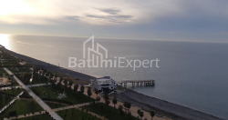 ბინა 1-ოთახი 50 კვ.მ - შერიფ ხიმშიაშვილი, Batumi